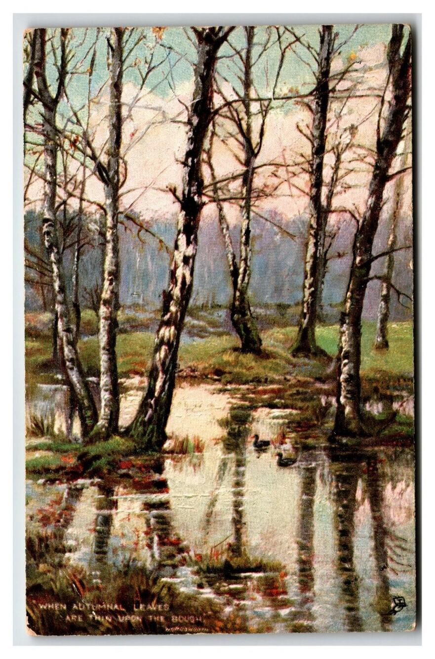 Raphael Tuck Oilettes Postcard Silver Birches Autumn Pond Ducks Unposted
